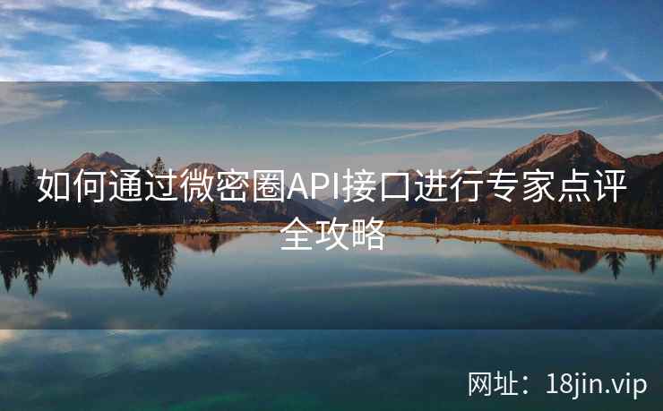 如何通过微密圈API接口进行专家点评全攻略