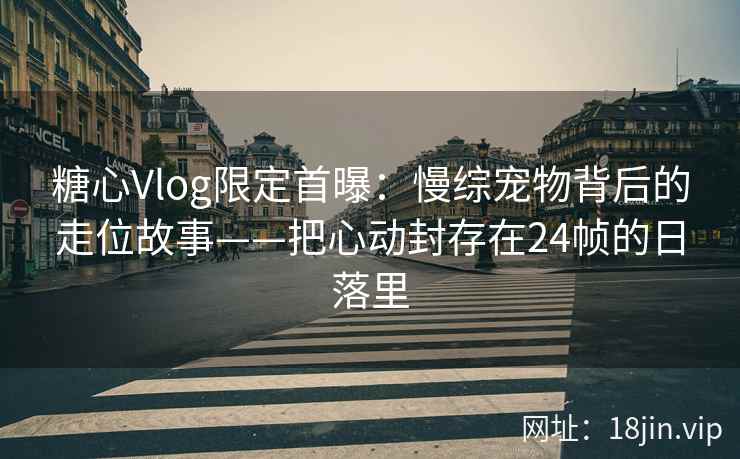 糖心Vlog限定首曝：慢综宠物背后的走位故事——把心动封存在24帧的日落里