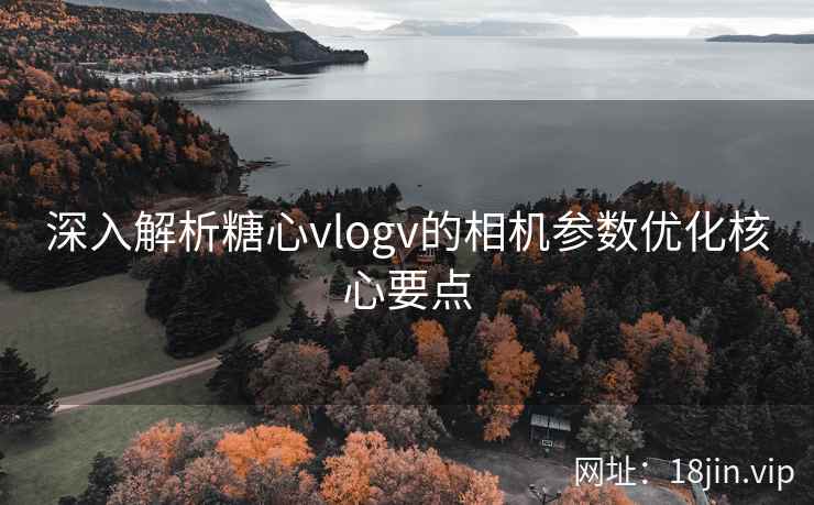 深入解析糖心vlogv的相机参数优化核心要点